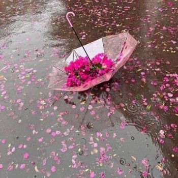 آهنگ تو تو تو خوشگل منیا ریمیکس آهنگ تو تو تو خوشگل منیا ریمیکس